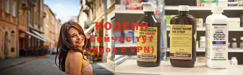 площадка наркотические препараты  Бирюсинск  Codein Purple Drank 